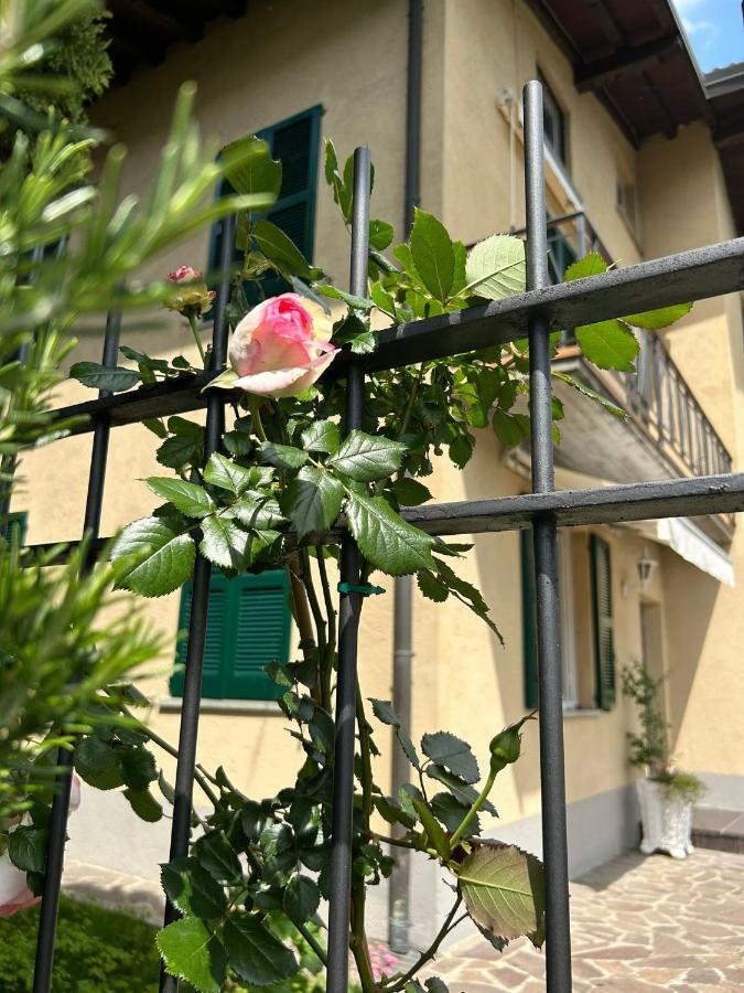 Sebino Holiday Home Монте-Изола Экстерьер фото